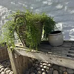 Apartament Bosbuell Huus