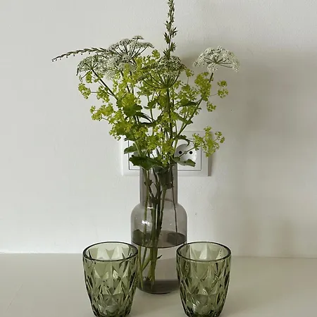 Bosbuell Huus Apartman Bosbull