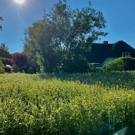 Bosbuell Huus Apartment Bosbull